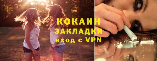 индика Белоозёрский