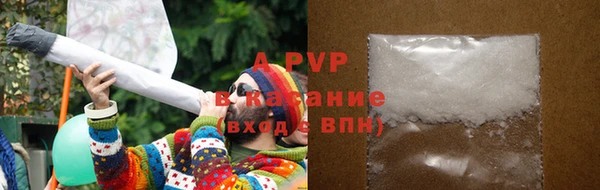 сатива Балахна