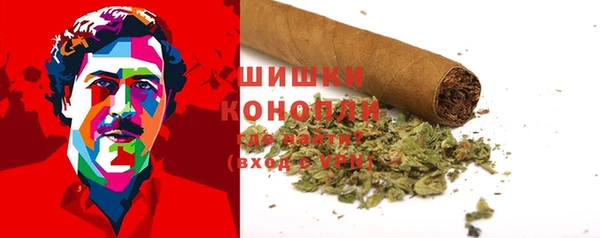сатива Балахна
