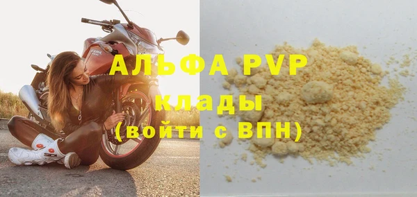 сатива Балахна
