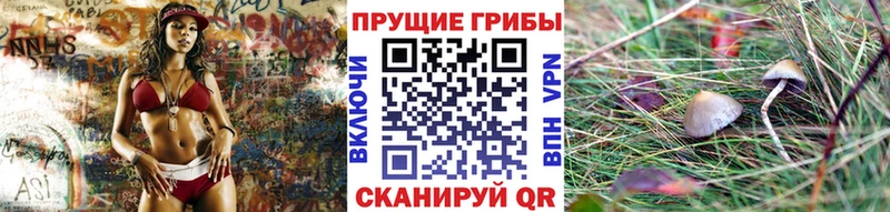 Псилоцибиновые грибы Psilocybine cubensis  Купить  Лениногорск 